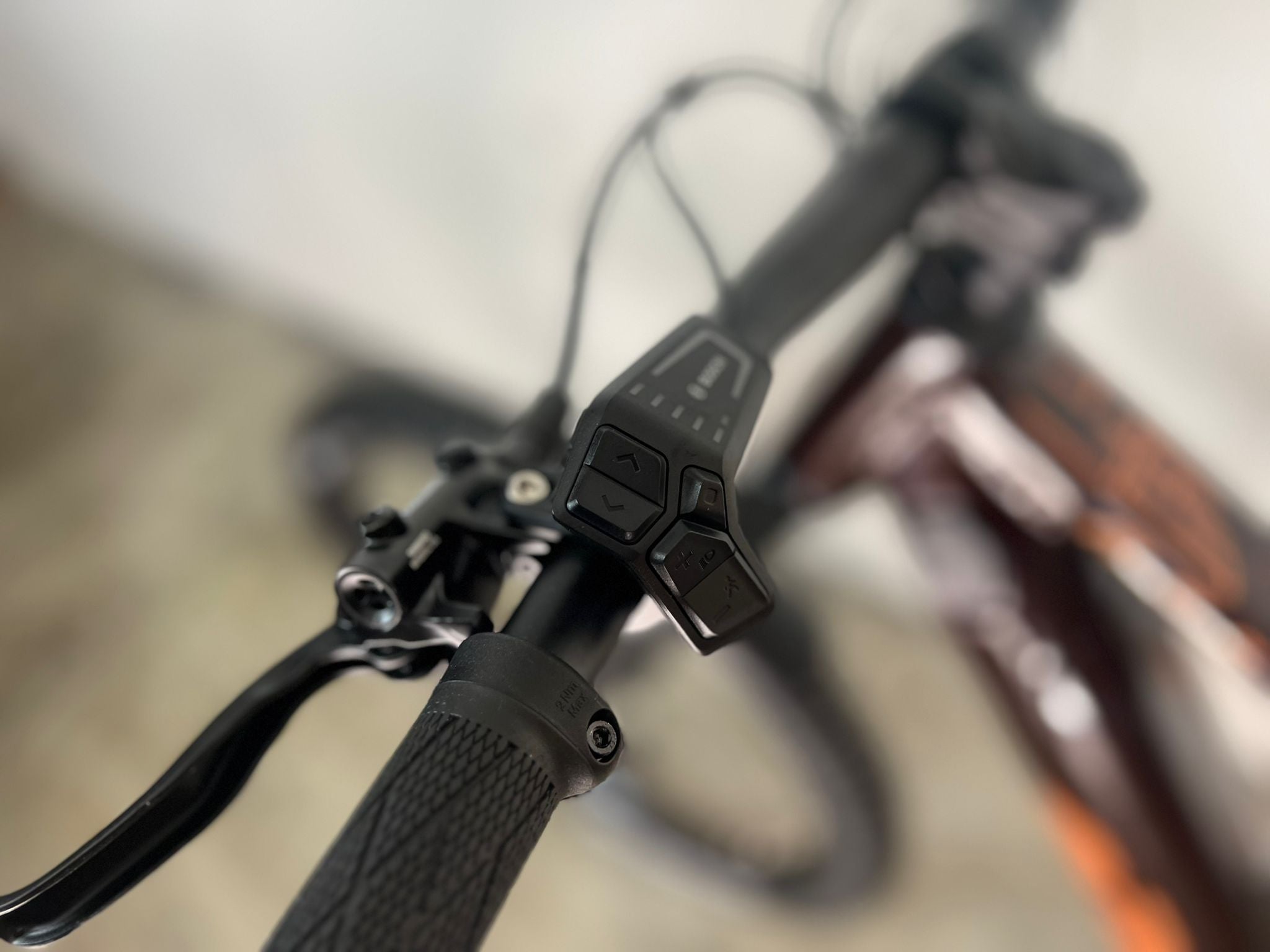 MACINA LYCAN 772 GLOR. night red (rose gold)