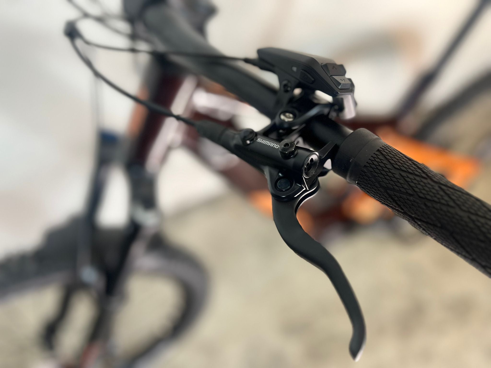 MACINA LYCAN 772 GLOR. night red (rose gold)