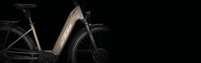 E-BIKE MACINA CITY P610 oak matt