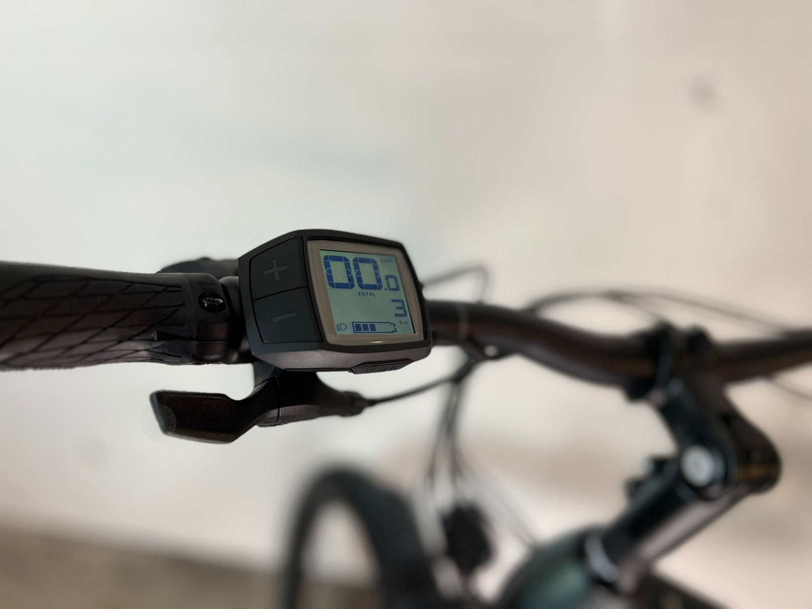 E-Bike BULLS Iconic EVO 1